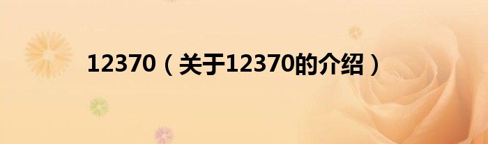 12370（关于12370的介绍）
