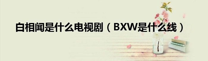 白相闻是什么电视剧（BXW是什么线）