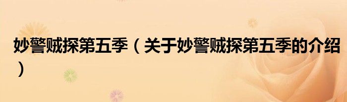 妙警贼探第五季（关于妙警贼探第五季的介绍）