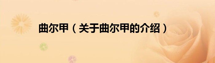 曲尔甲（关于曲尔甲的介绍）