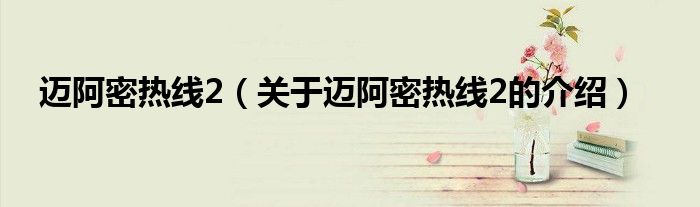 迈阿密热线2（关于迈阿密热线2的介绍）