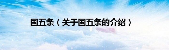 国五条（关于国五条的介绍）