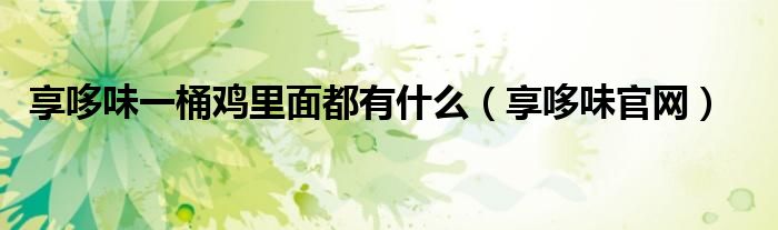 享哆味一桶鸡里面都有什么（享哆味官网）