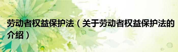 劳动者权益保护法（关于劳动者权益保护法的介绍）