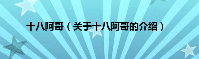 十八阿哥（关于十八阿哥的介绍）