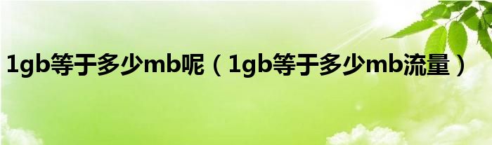 1gb等于多少mb呢（1gb等于多少mb流量）