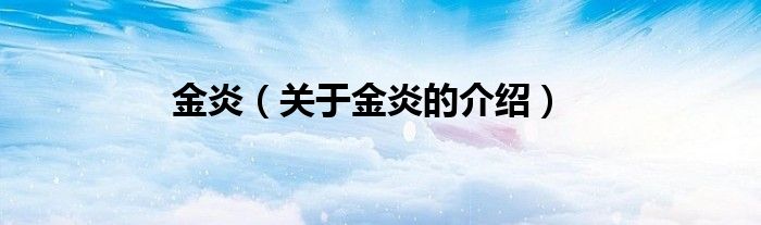 金炎（关于金炎的介绍）