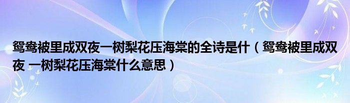 鸳鸯被里成双夜一树梨花压海棠的全诗是什（鸳鸯被里成双夜 一树梨花压海棠什么意思）