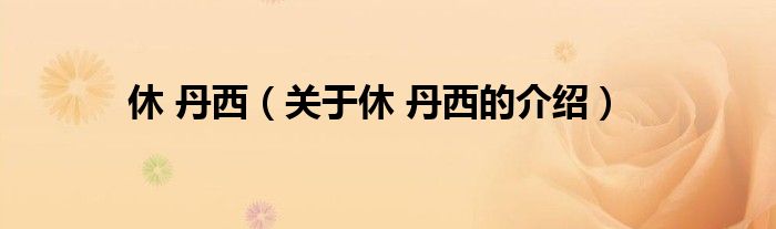 休 丹西（关于休 丹西的介绍）