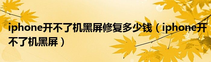 iphone开不了机黑屏修复多少钱（iphone开不了机黑屏）
