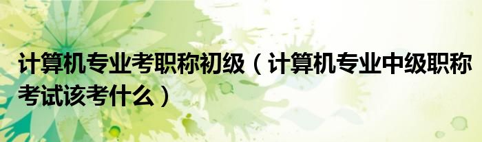 计算机专业考职称初级（计算机专业中级职称考试该考什么）
