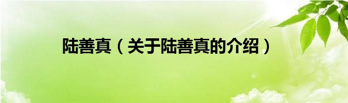 陆善真（关于陆善真的介绍）