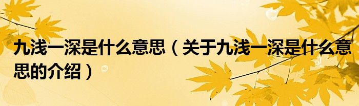 九浅一深是什么意思（关于九浅一深是什么意思的介绍）