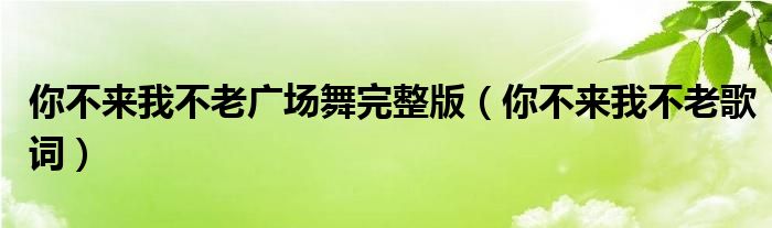 你不来我不老广场舞完整版（你不来我不老歌词）