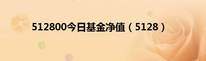 512800今日基金净值（5128）