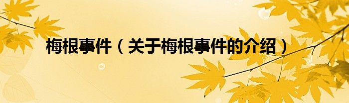 梅根事件（关于梅根事件的介绍）