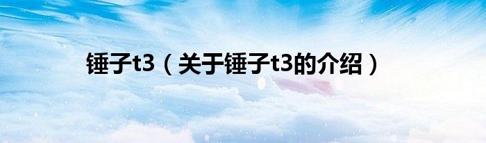 锤子t3（关于锤子t3的介绍）