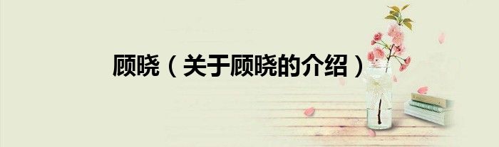 顾晓（关于顾晓的介绍）