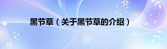黑节草（关于黑节草的介绍）
