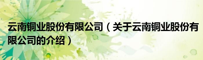 云南铜业股份有限公司（关于云南铜业股份有限公司的介绍）