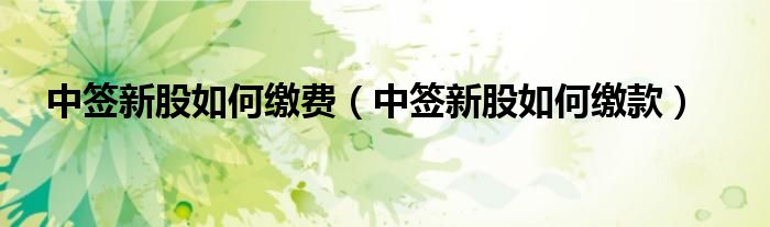 中签新股如何缴费（中签新股如何缴款）