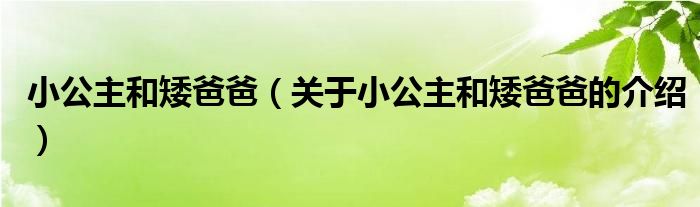 小公主和矮爸爸（关于小公主和矮爸爸的介绍）