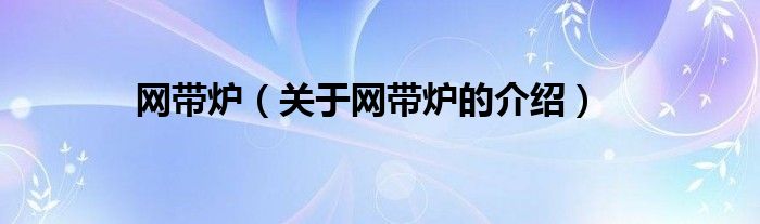 网带炉（关于网带炉的介绍）