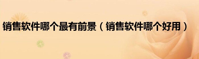 销售软件哪个最有前景（销售软件哪个好用）