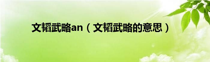 文韬武略an（文韬武略的意思）