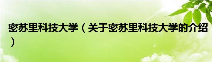 密苏里科技大学（关于密苏里科技大学的介绍）