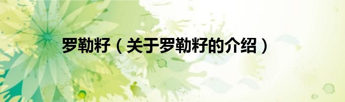 罗勒籽（关于罗勒籽的介绍）