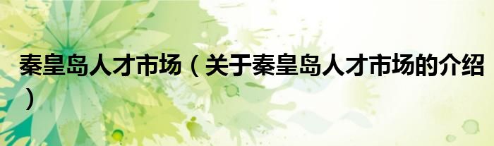 秦皇岛人才市场（关于秦皇岛人才市场的介绍）