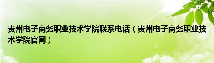 贵州电子商务职业技术学院联系电话（贵州电子商务职业技术学院官网）