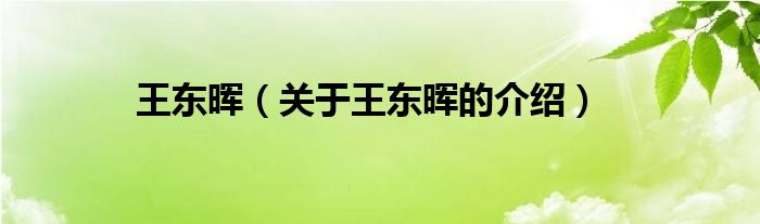 王东晖（关于王东晖的介绍）