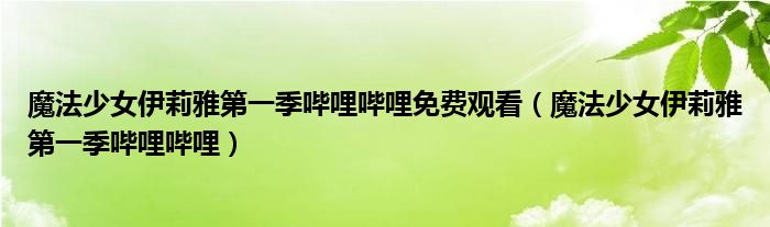 魔法少女伊莉雅第一季哔哩哔哩免费观看（魔法少女伊莉雅第一季哔哩哔哩）
