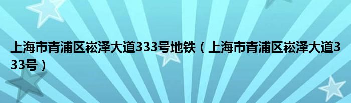 上海市青浦区崧泽大道333号地铁（上海市青浦区崧泽大道333号）
