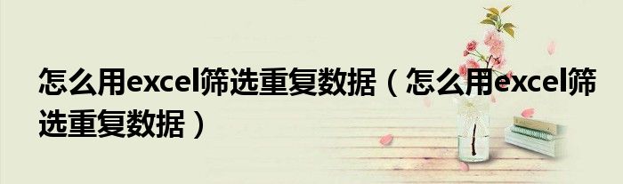 怎么用excel筛选重复数据（怎么用excel筛选重复数据）