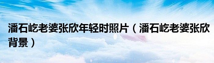潘石屹老婆张欣年轻时照片（潘石屹老婆张欣背景）