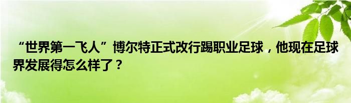 足球界的革命：机器人欧洲杯如何重塑比赛