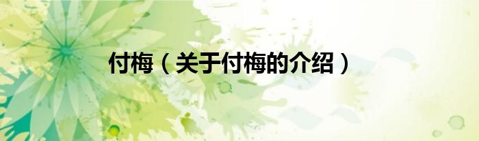 付梅（关于付梅的介绍）