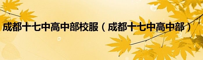 成都十七中高中部校服（成都十七中高中部）