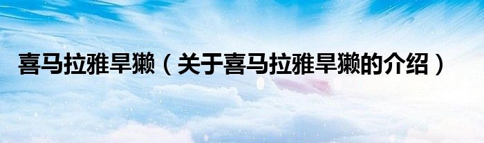 喜马拉雅旱獭（关于喜马拉雅旱獭的介绍）