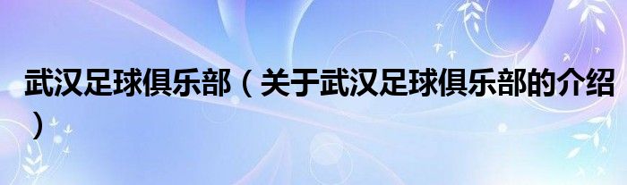 武汉足球俱乐部（关于武汉足球俱乐部的介绍）