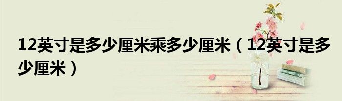 12英寸是多少厘米乘多少厘米（12英寸是多少厘米）