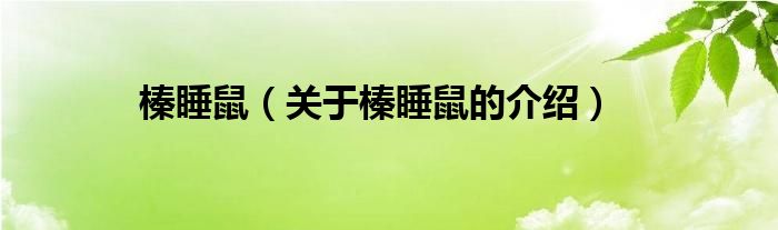 榛睡鼠（关于榛睡鼠的介绍）