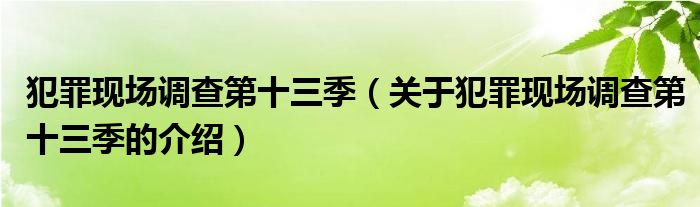 犯罪现场调查第十三季（关于犯罪现场调查第十三季的介绍）