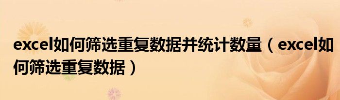 excel如何筛选重复数据并统计数量（excel如何筛选重复数据）