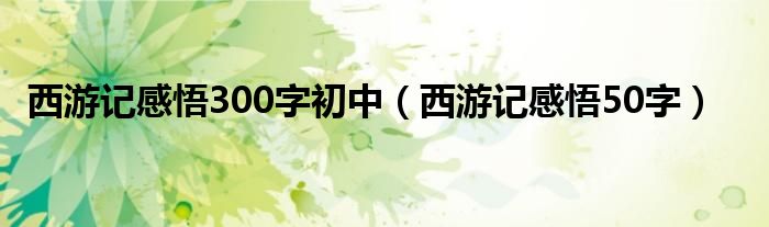 西游记感悟300字初中（西游记感悟50字）