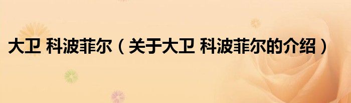 大卫 科波菲尔（关于大卫 科波菲尔的介绍）