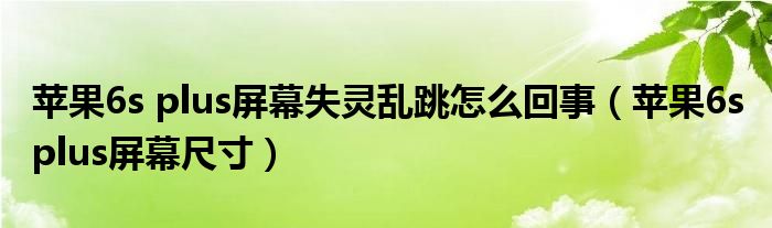 苹果6s plus屏幕失灵乱跳怎么回事（苹果6s plus屏幕尺寸）